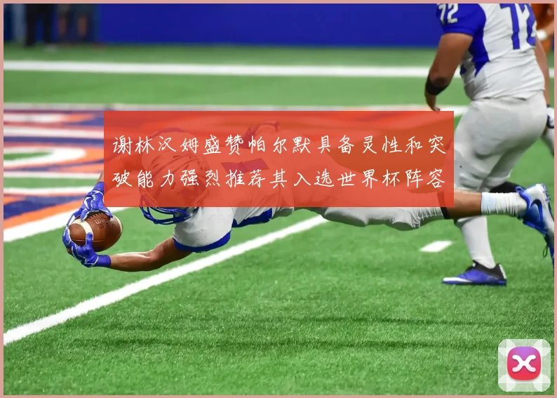 谢林汉姆盛赞帕尔默具备灵性和突破能力强烈推荐其入选世界杯阵容
